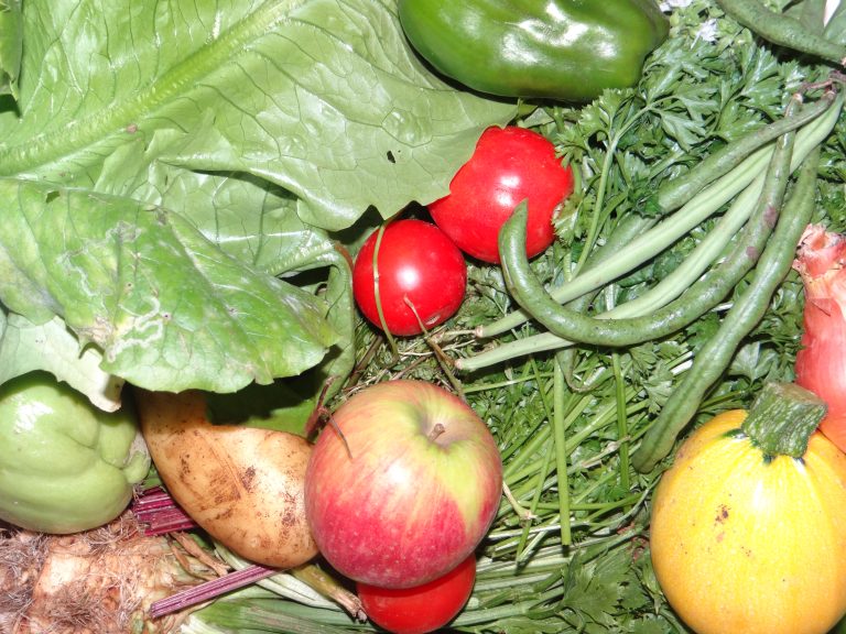 Introduction : Nutrition :  comment ça marche ? Les généralités…